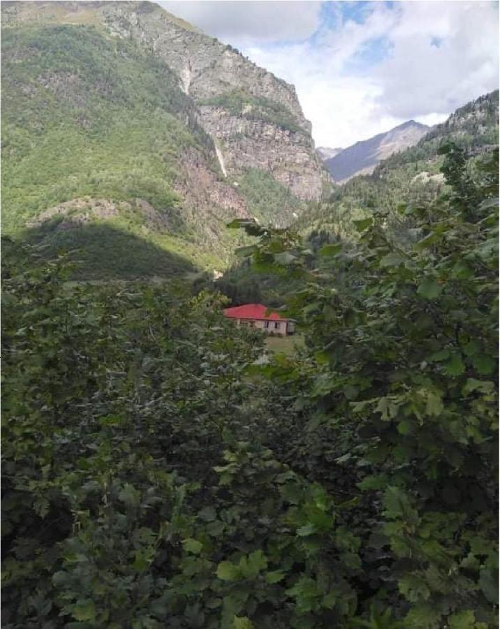 Guest House Malkhaz Niguriani Zhabeshi Exterior foto